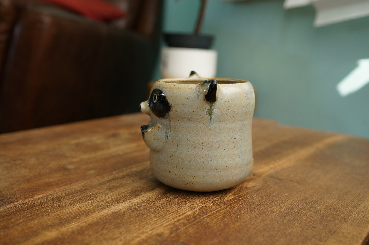 Raccoon Cup