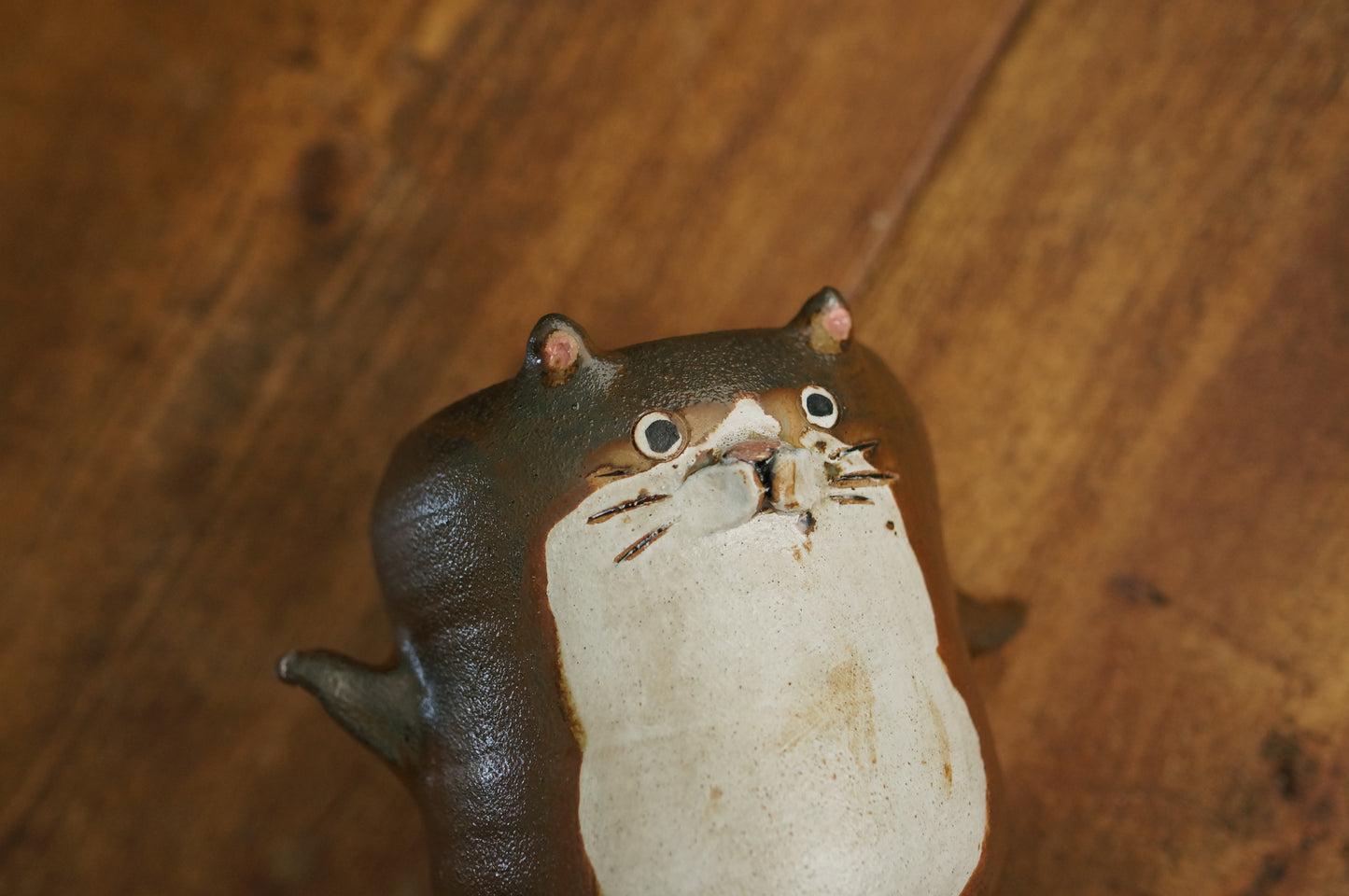 Cat Cup