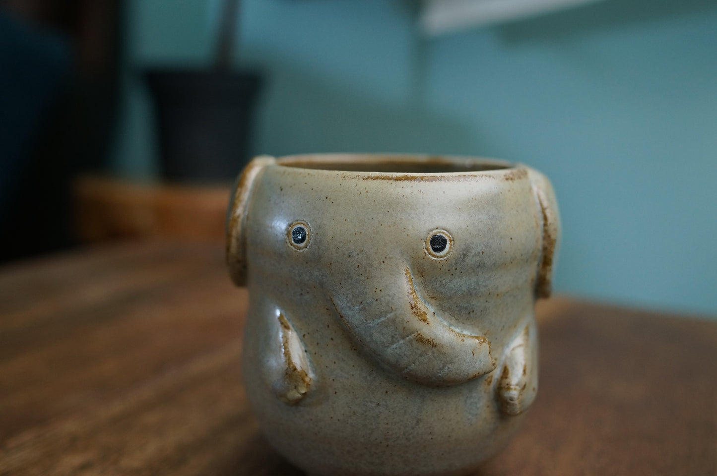 Elephant Cup
