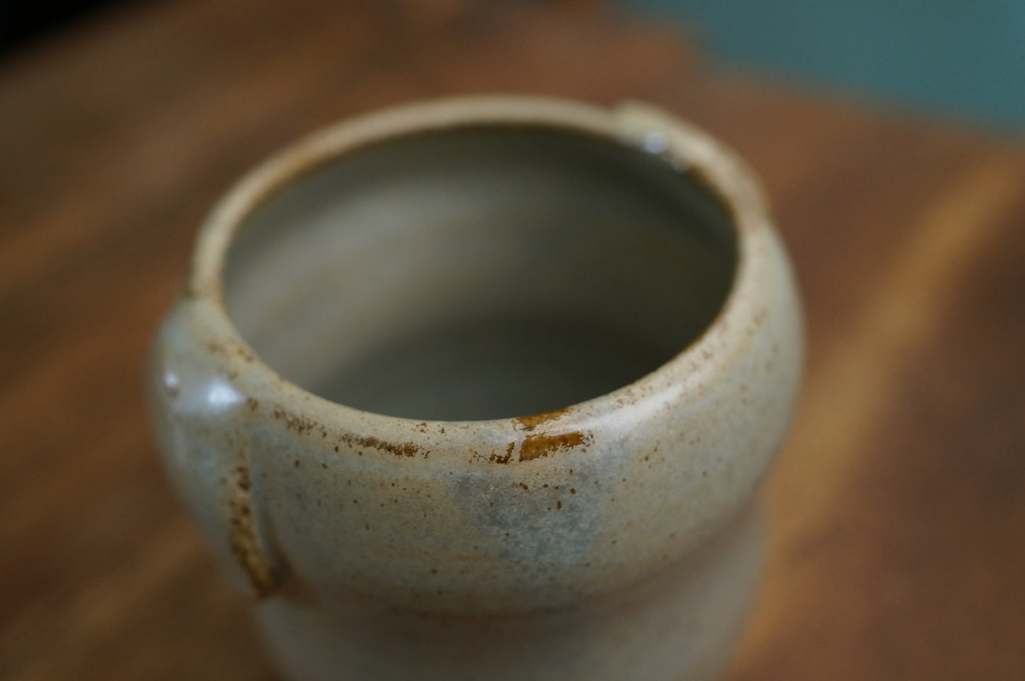 Elephant Cup