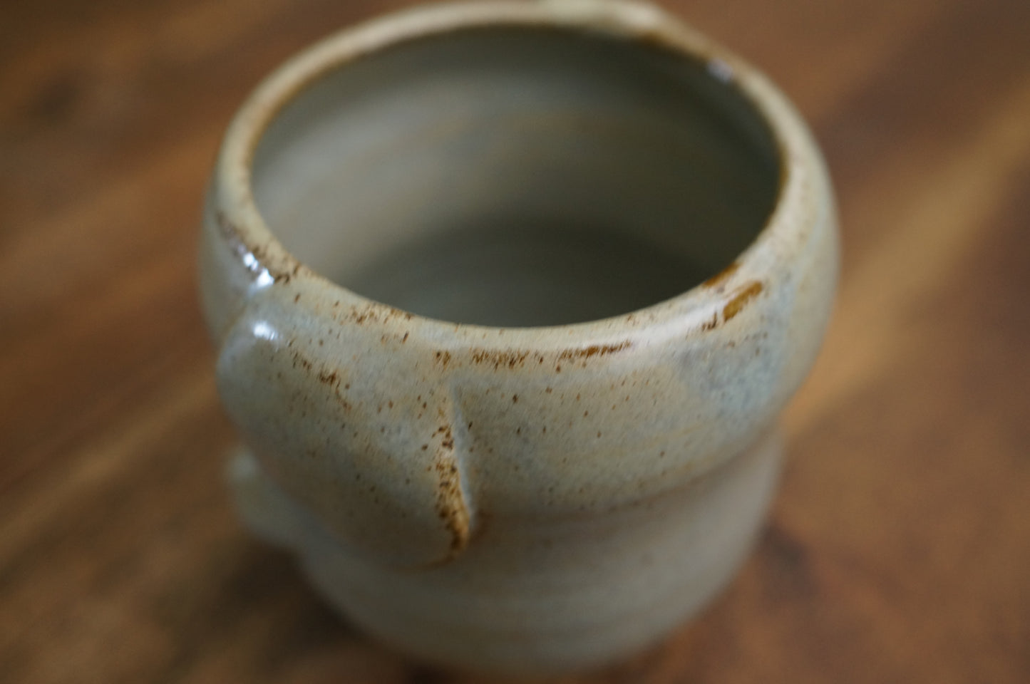 Elephant Cup