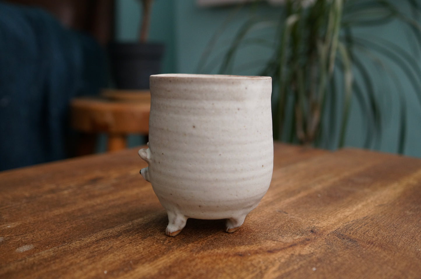 Four Legs Bear Cup