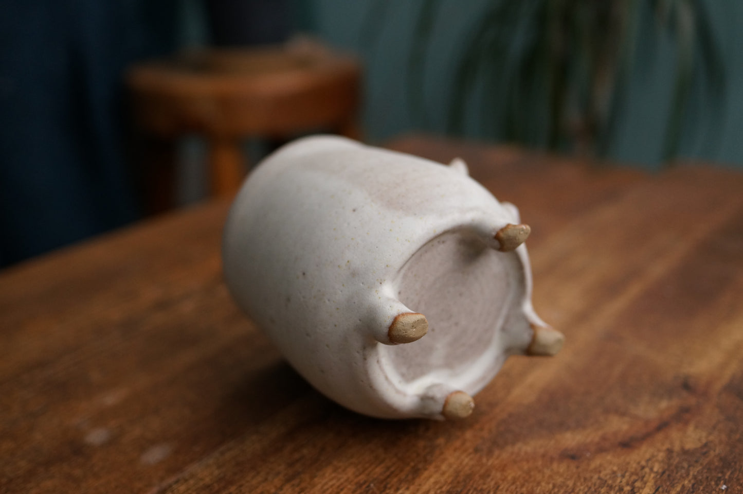 Four Legs Bear Cup