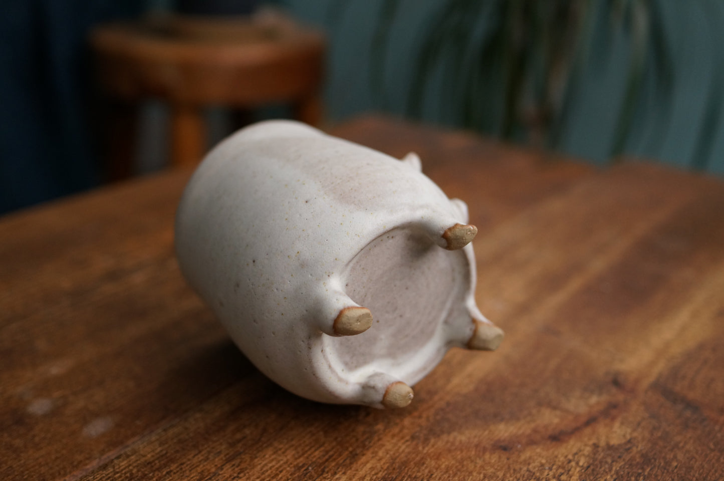 Four Legs Bear Cup