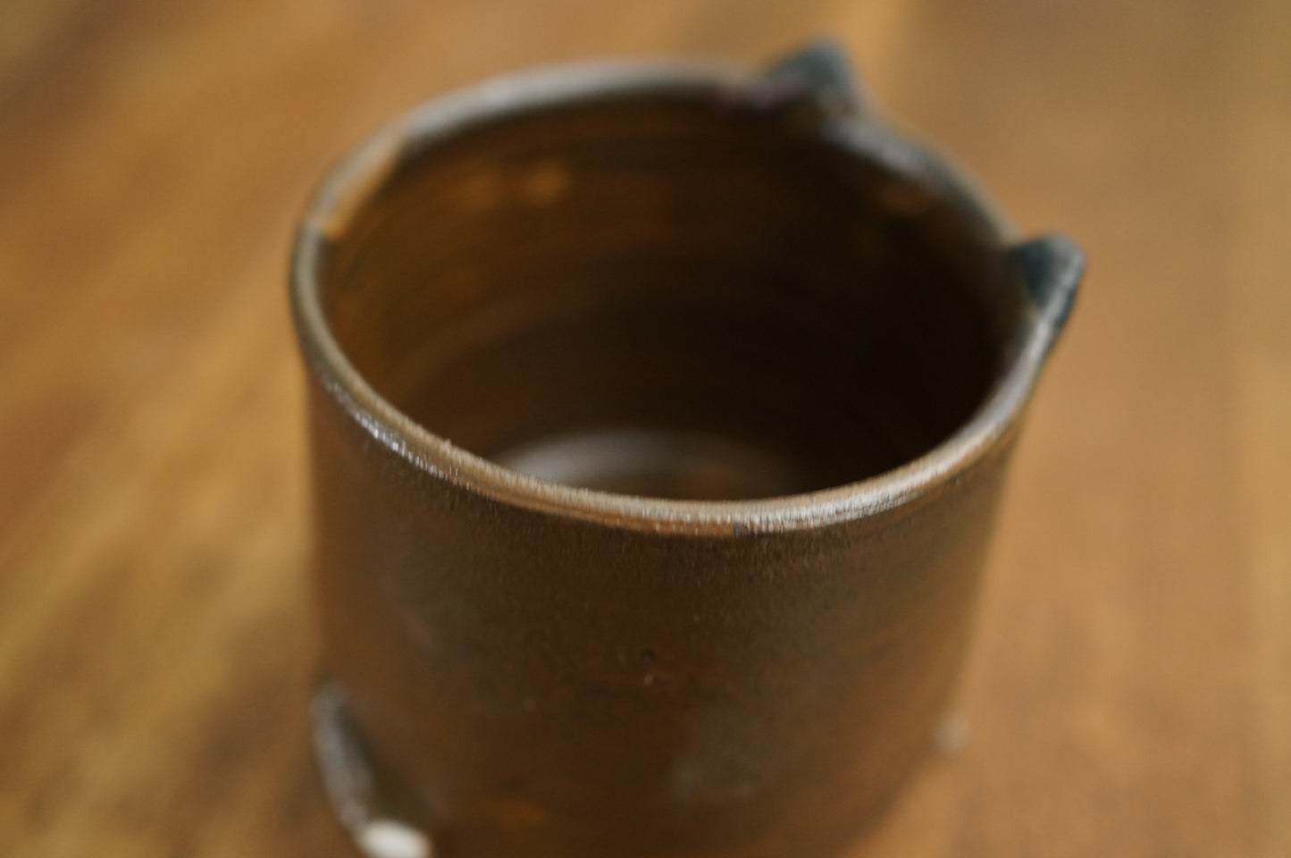 Four Legs Fox Cup