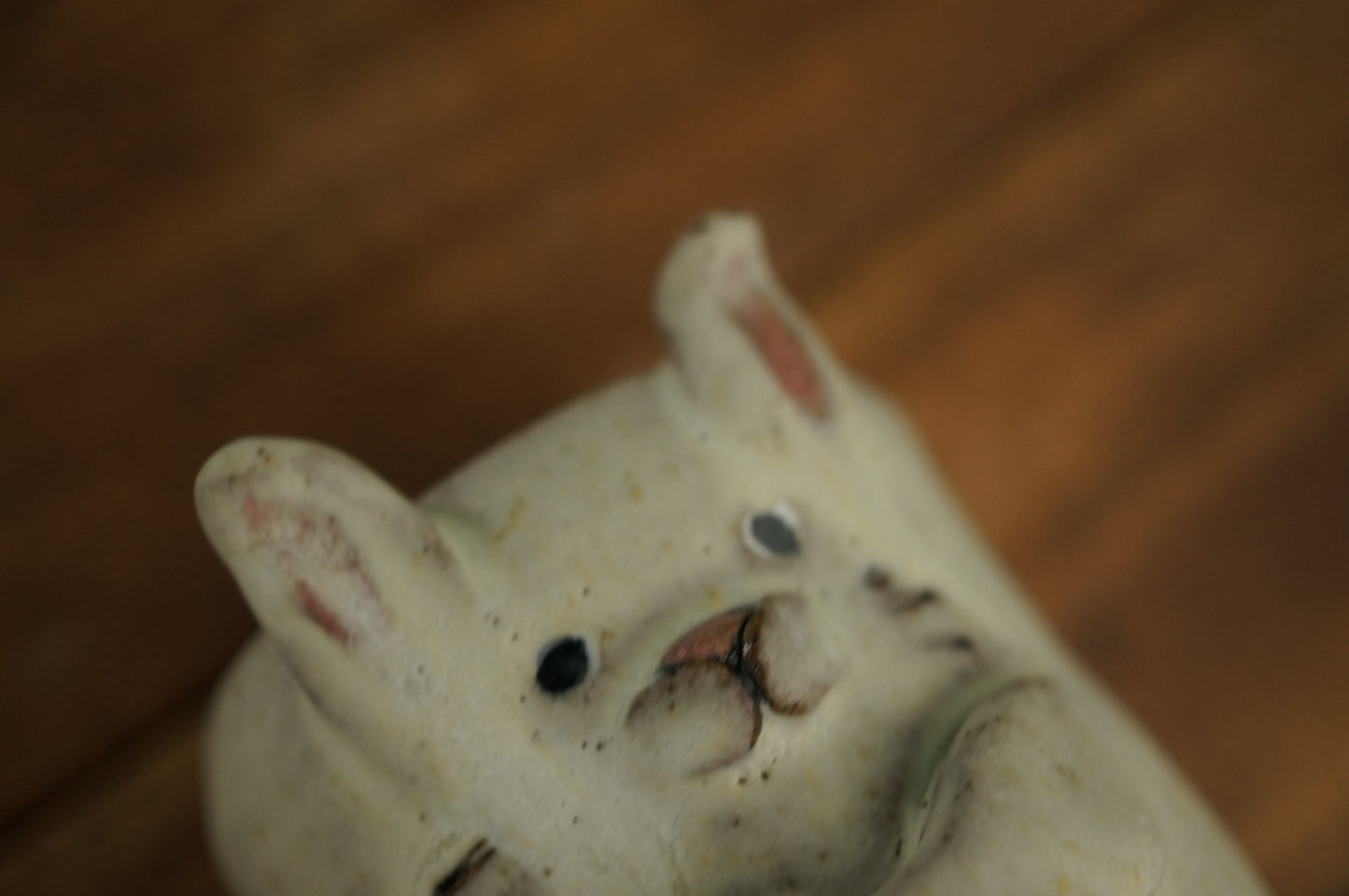 Rabbit Cup