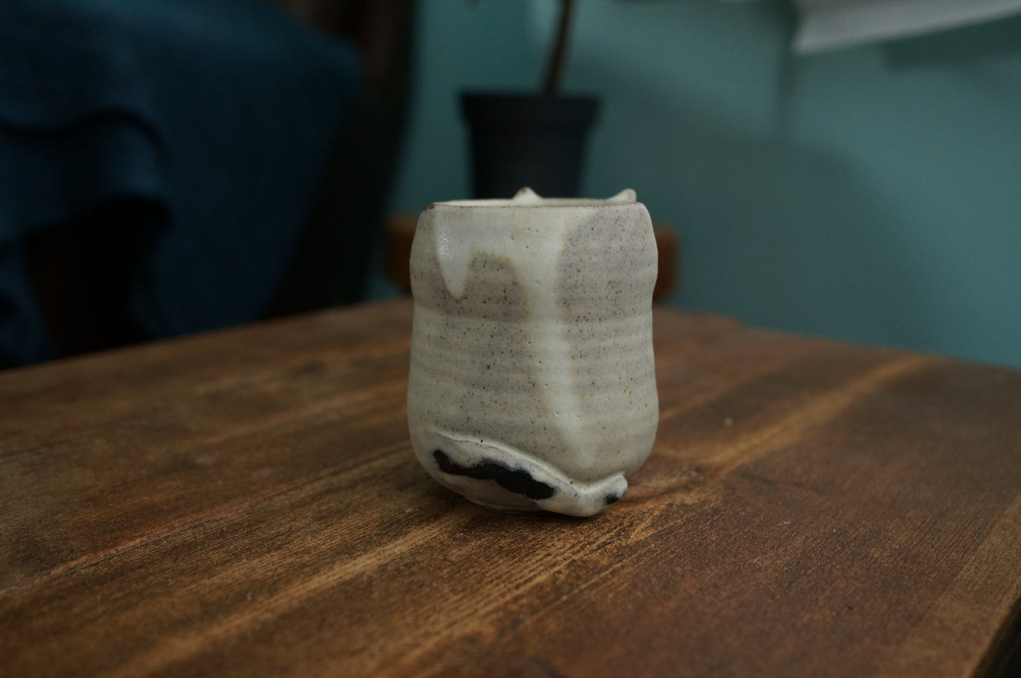 Cat Cup