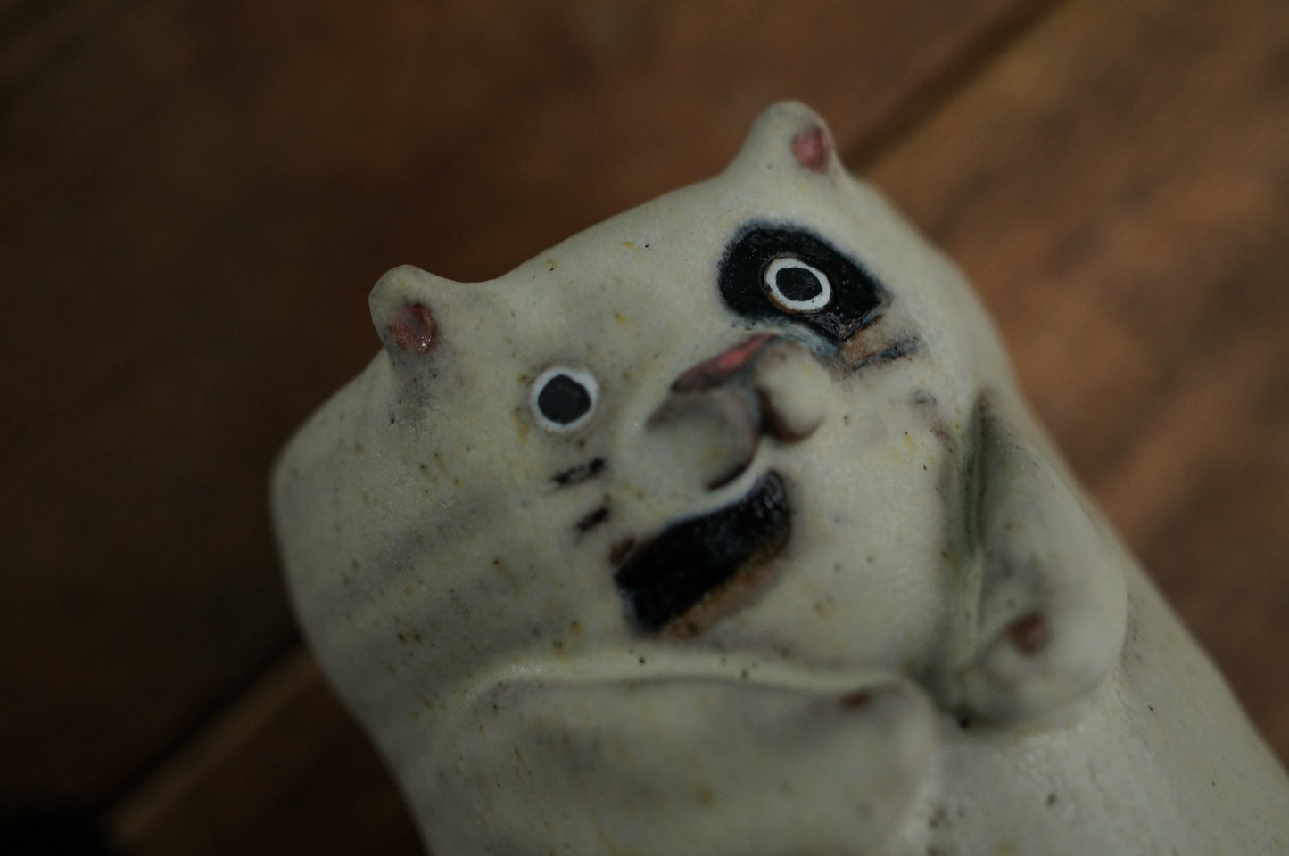 Cat Cup