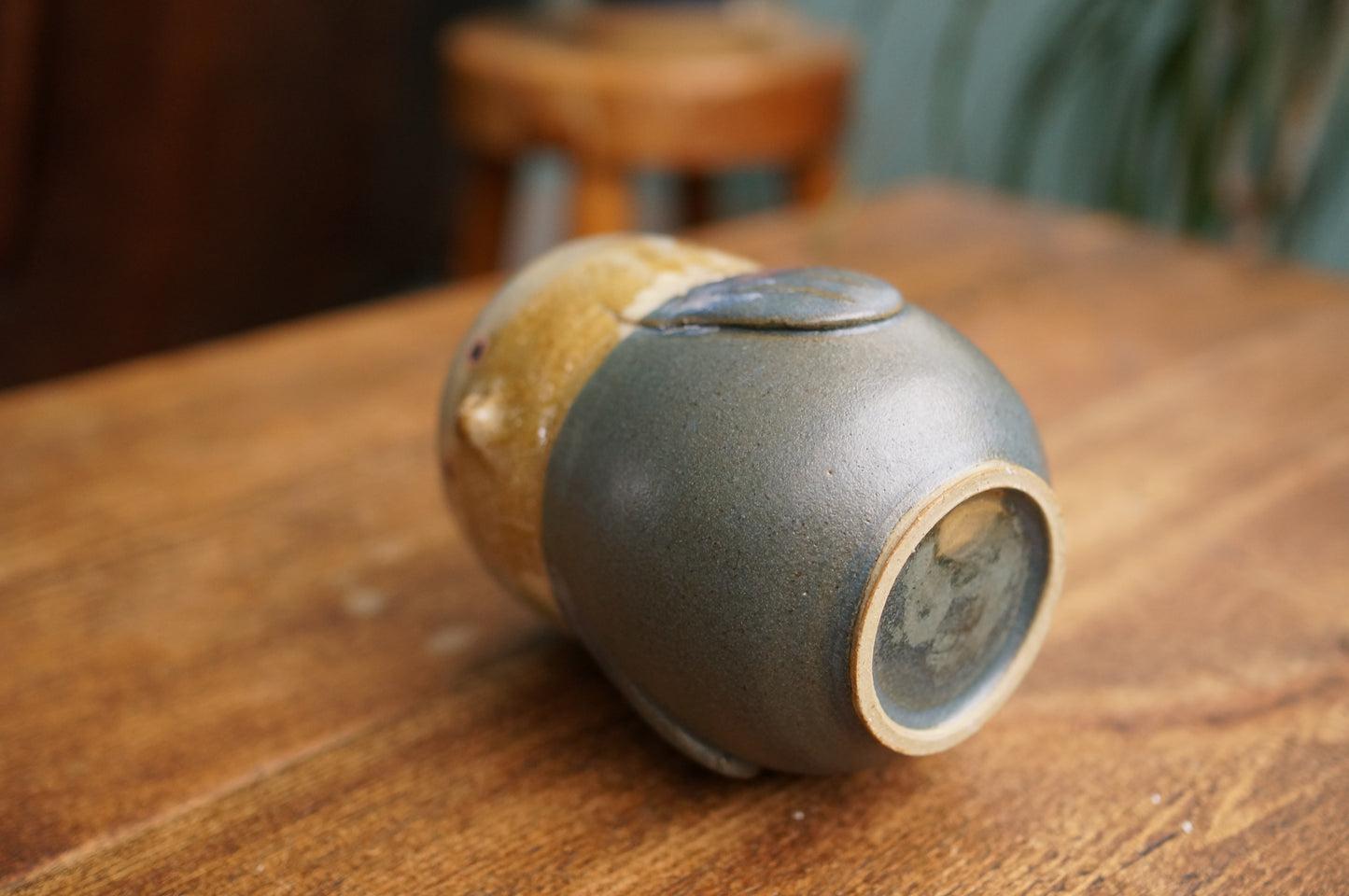 Pigeon Cup