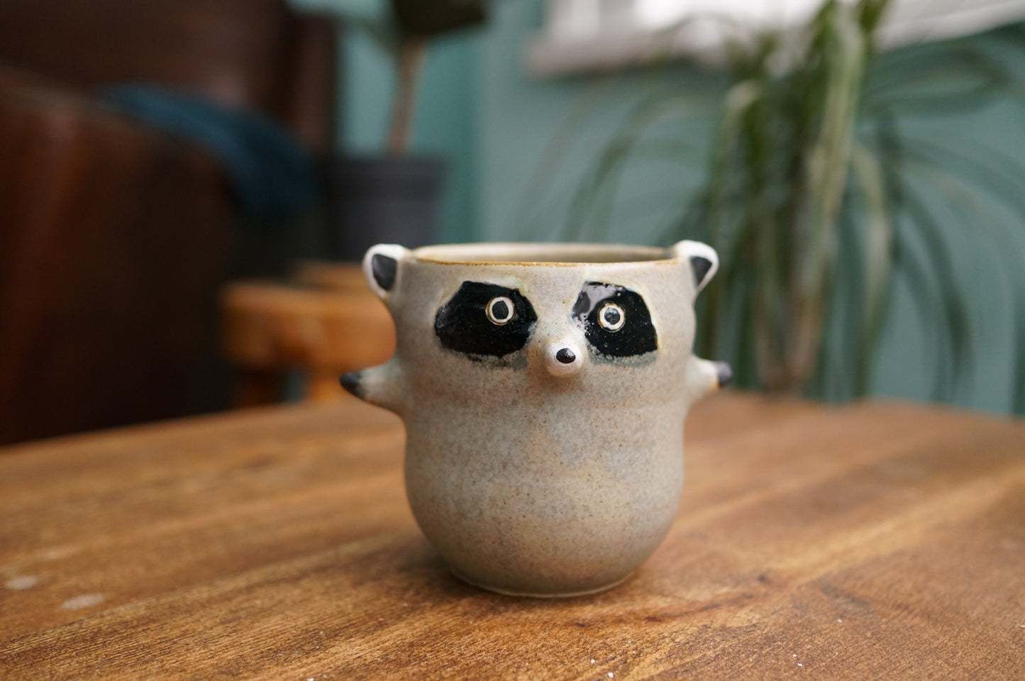 Raccoon Cup