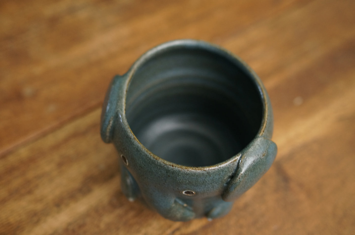 Elephant Cup