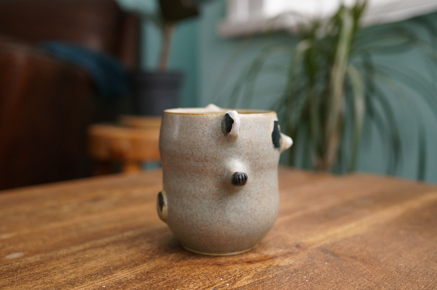 Raccoon Cup