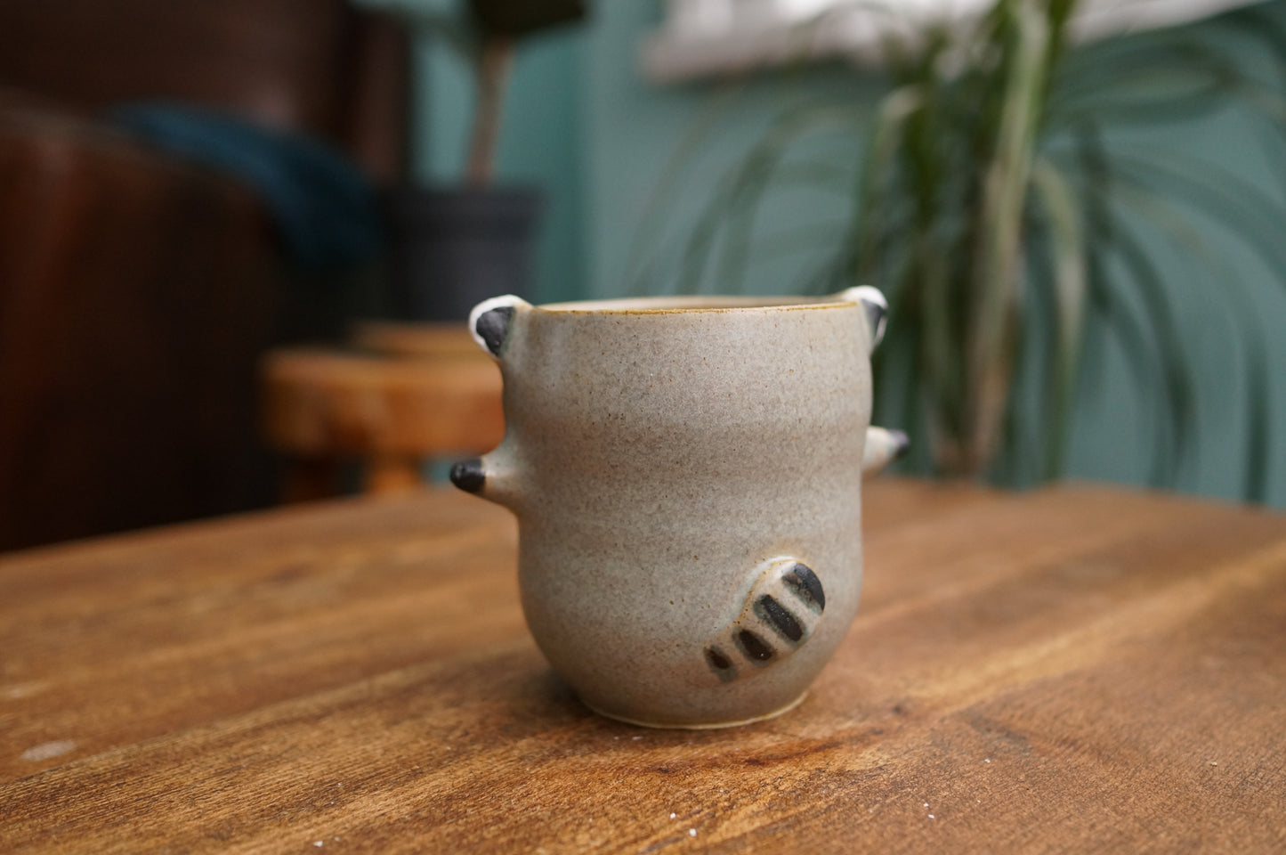 Raccoon Cup