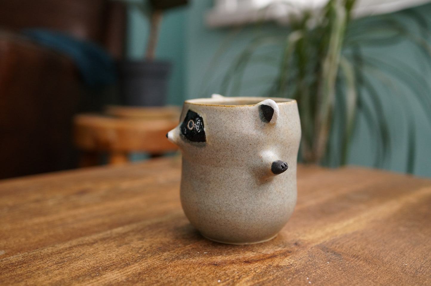 Raccoon Cup