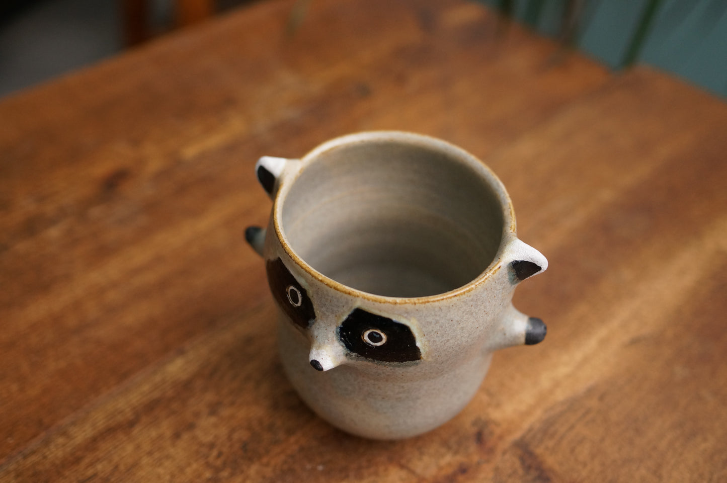 Raccoon Cup