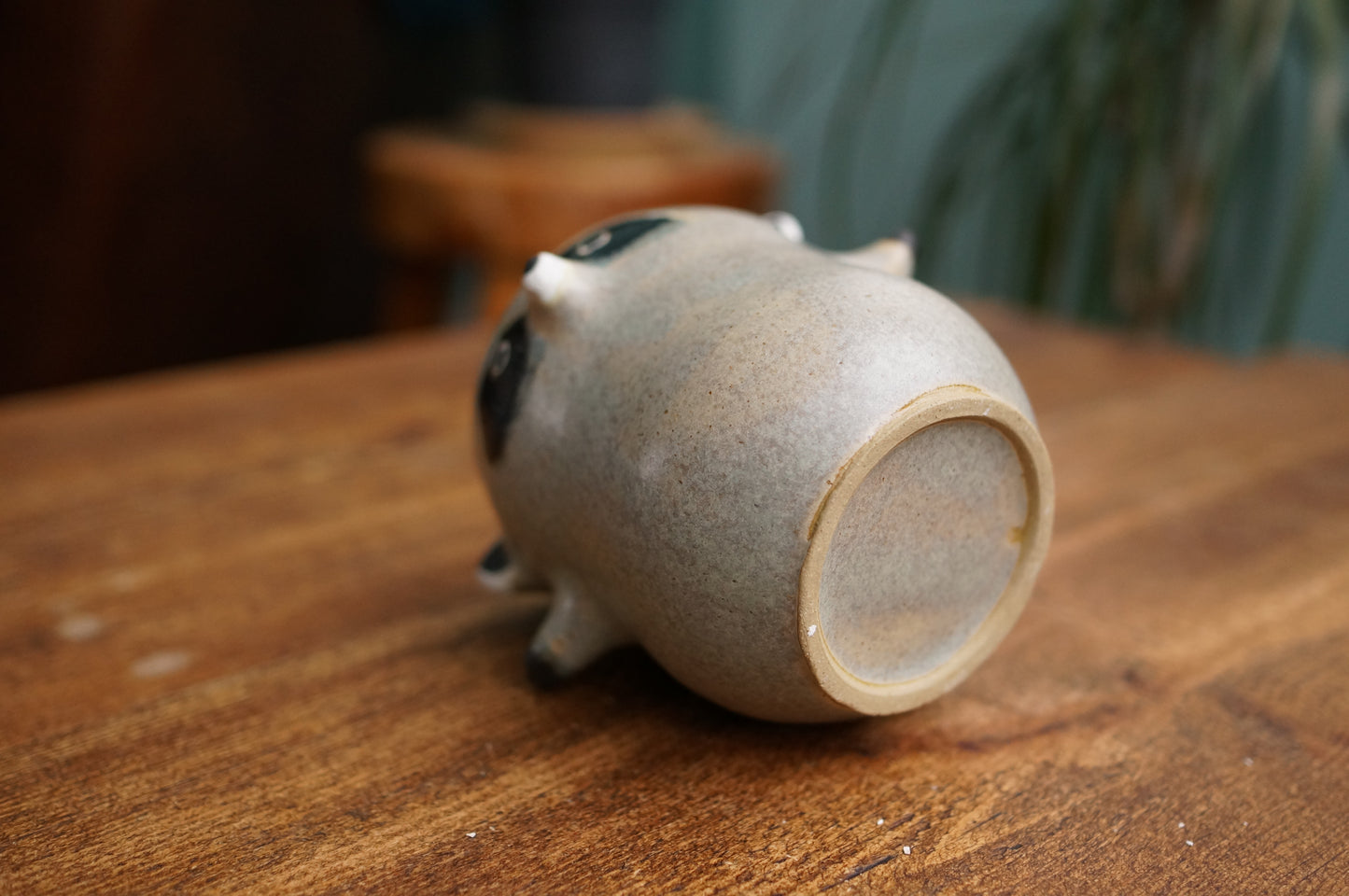 Raccoon Cup