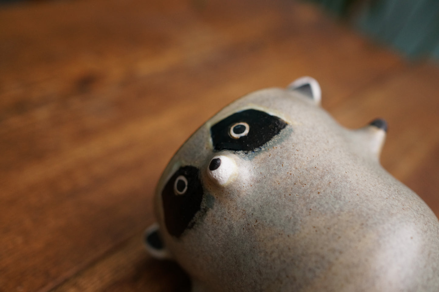Raccoon Cup