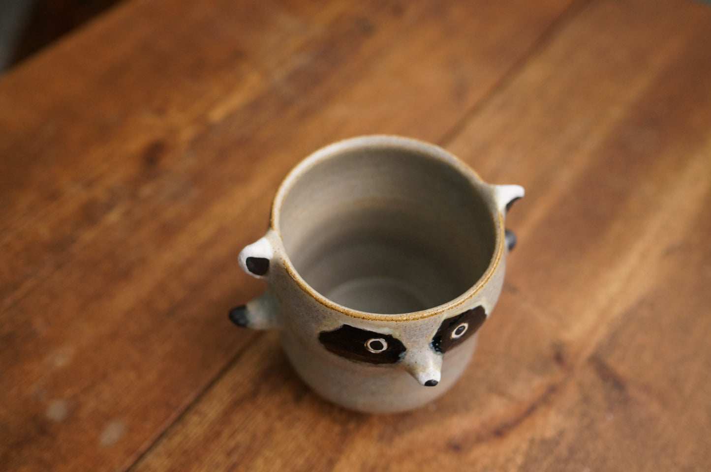 Raccoon Cup