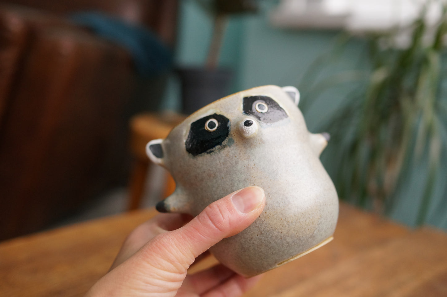 Raccoon Cup