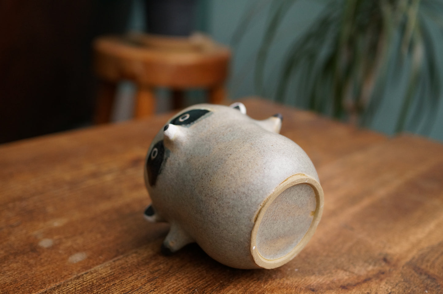 Raccoon Cup