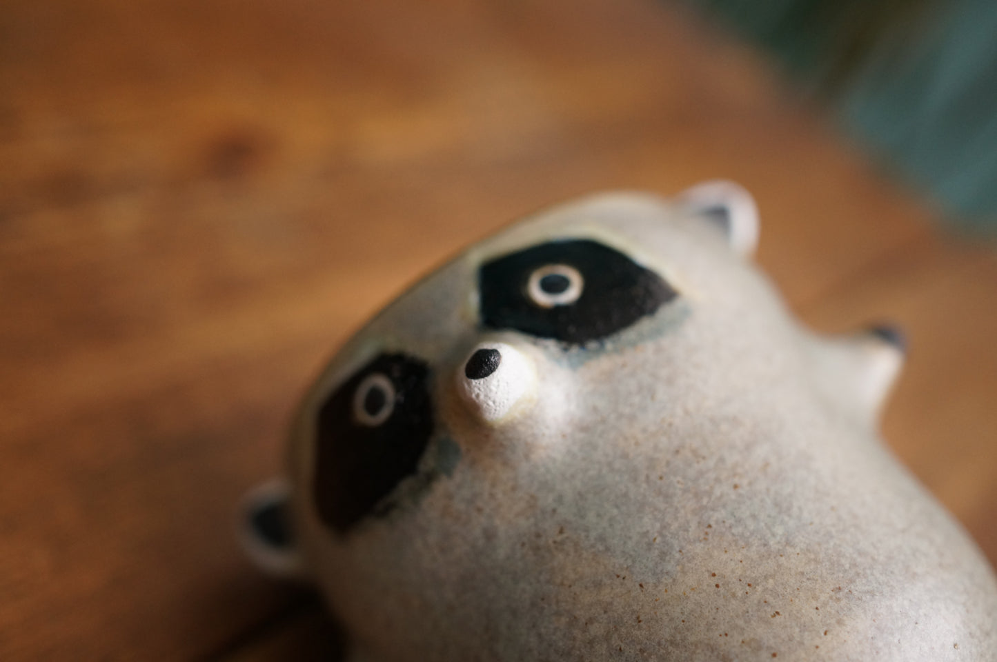 Raccoon Cup