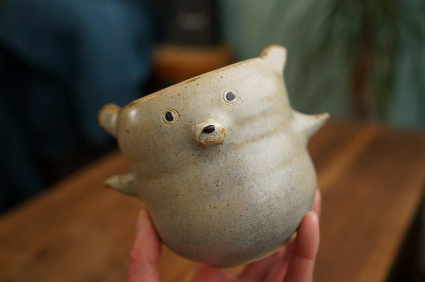 Bear Cup