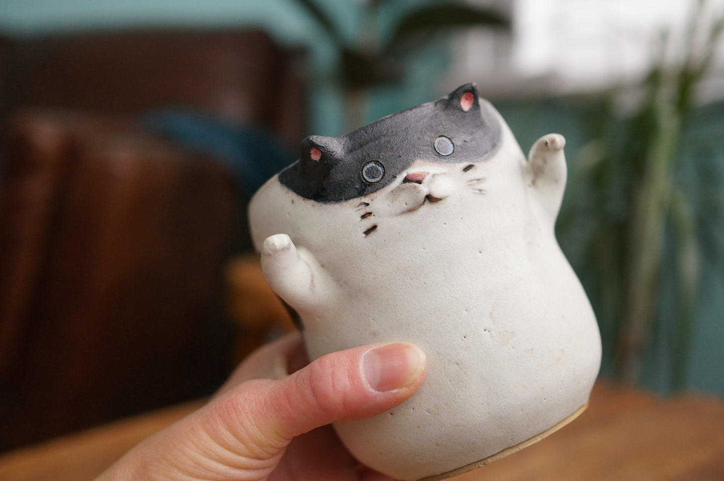 Cat Cup