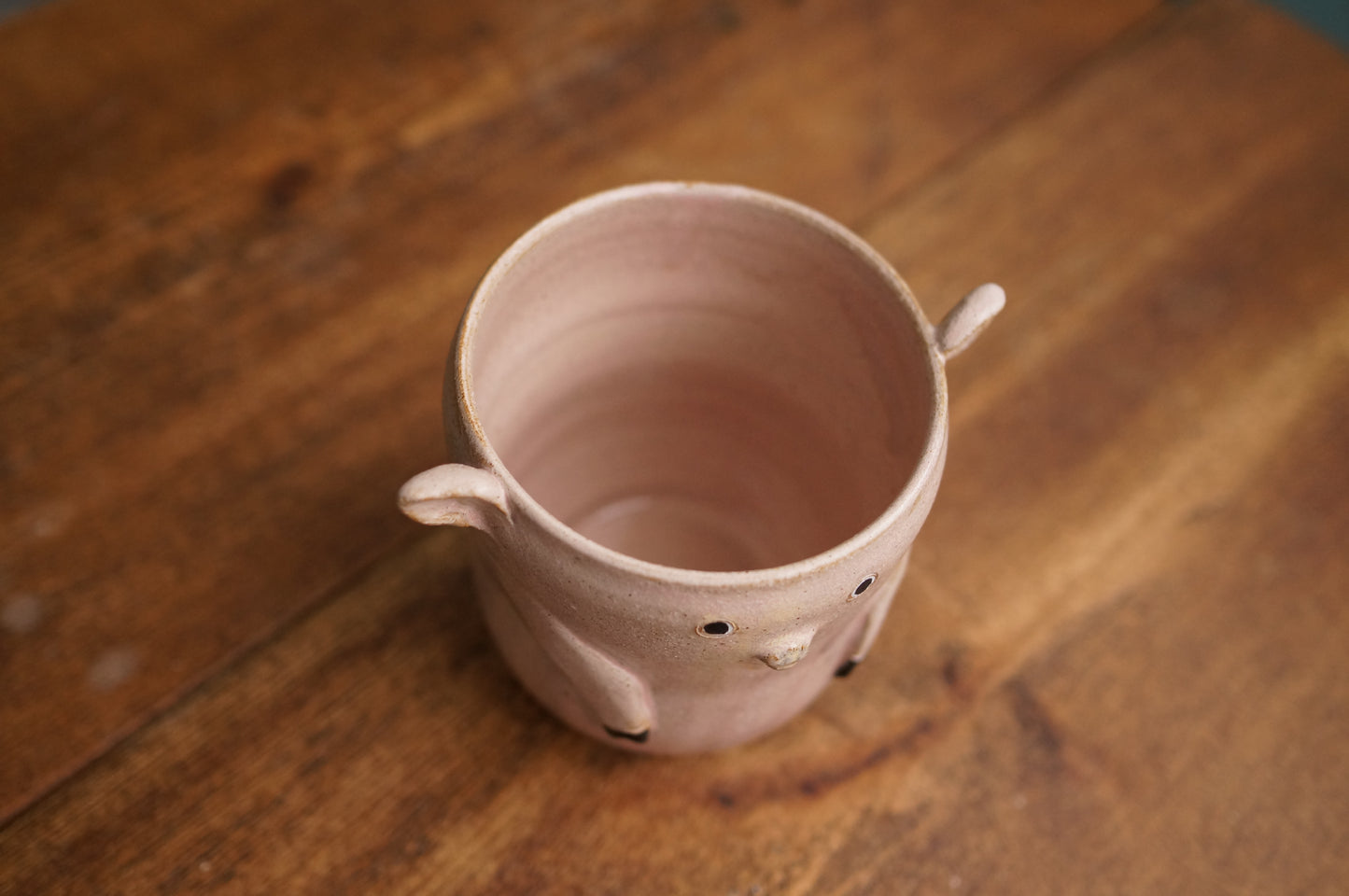 Pig Cup