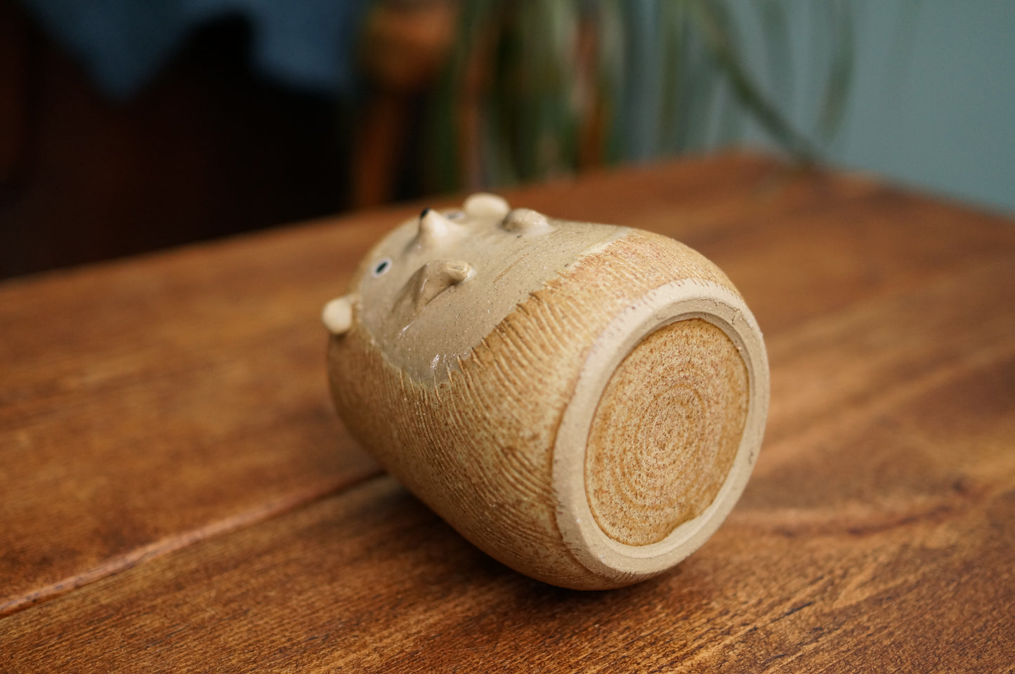 Hedgehog Cup