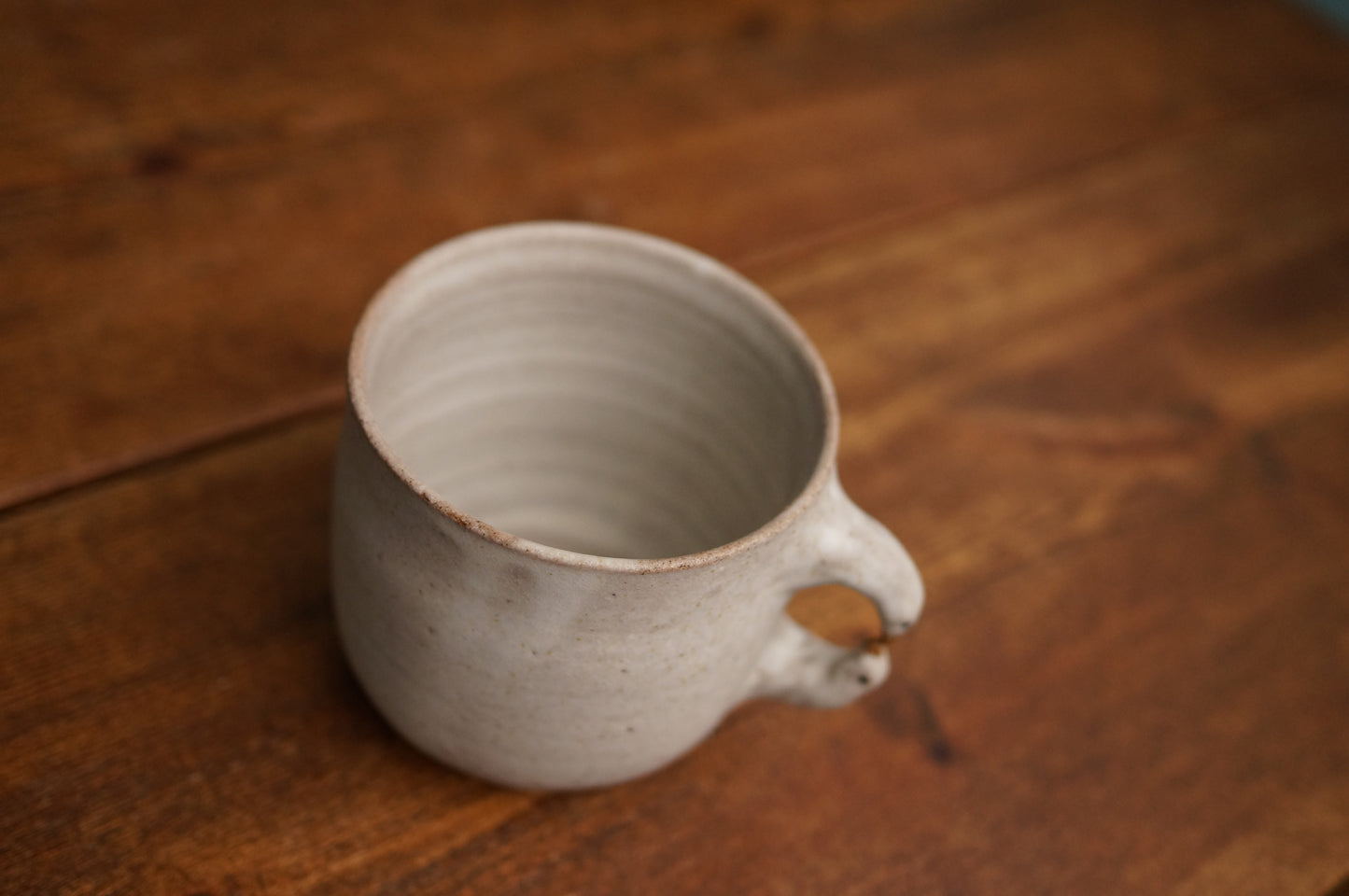 Two Duck Mug