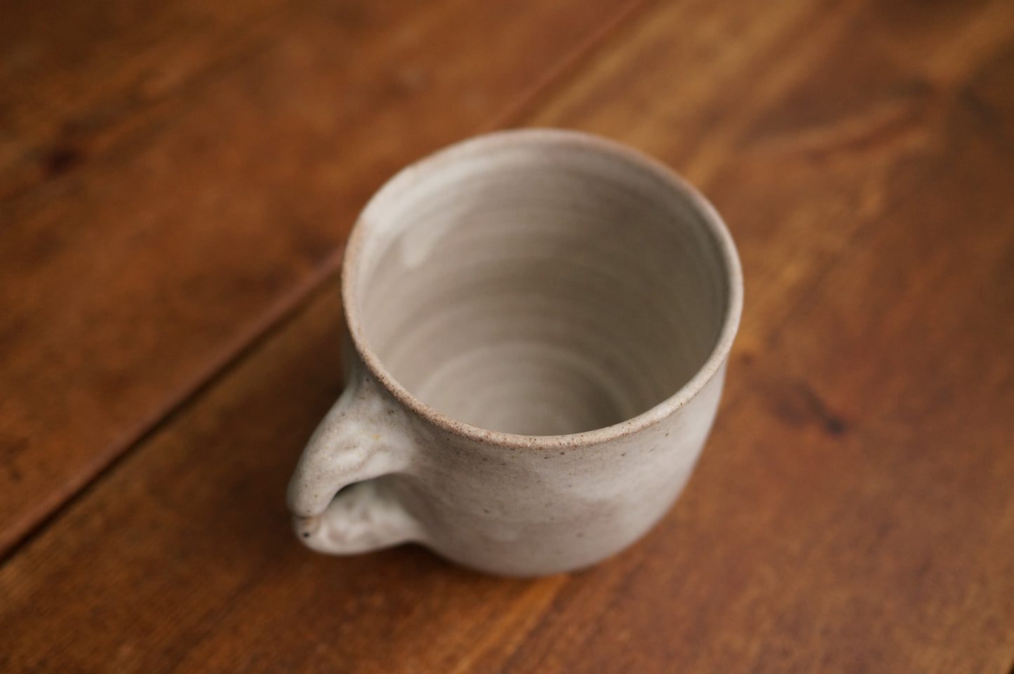 Two Duck Mug