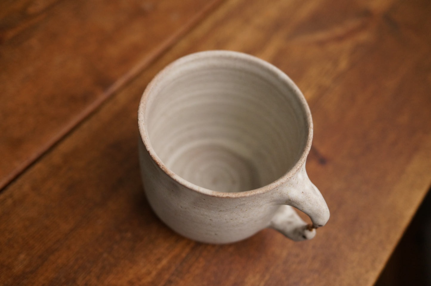Two Duck Mug
