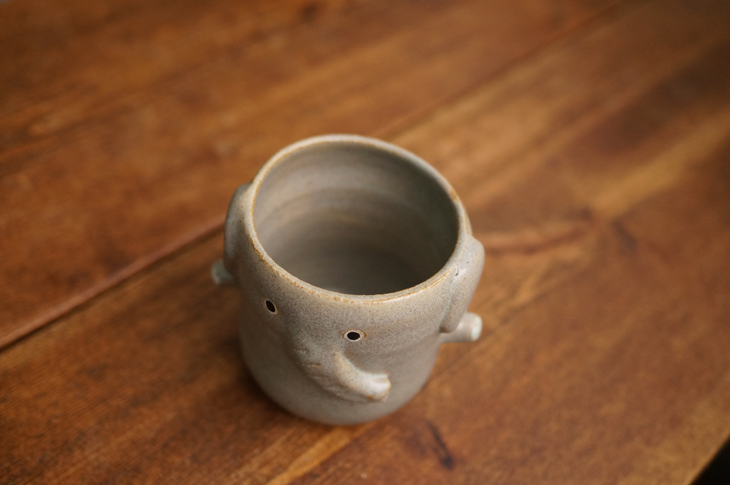 Elephant Cup