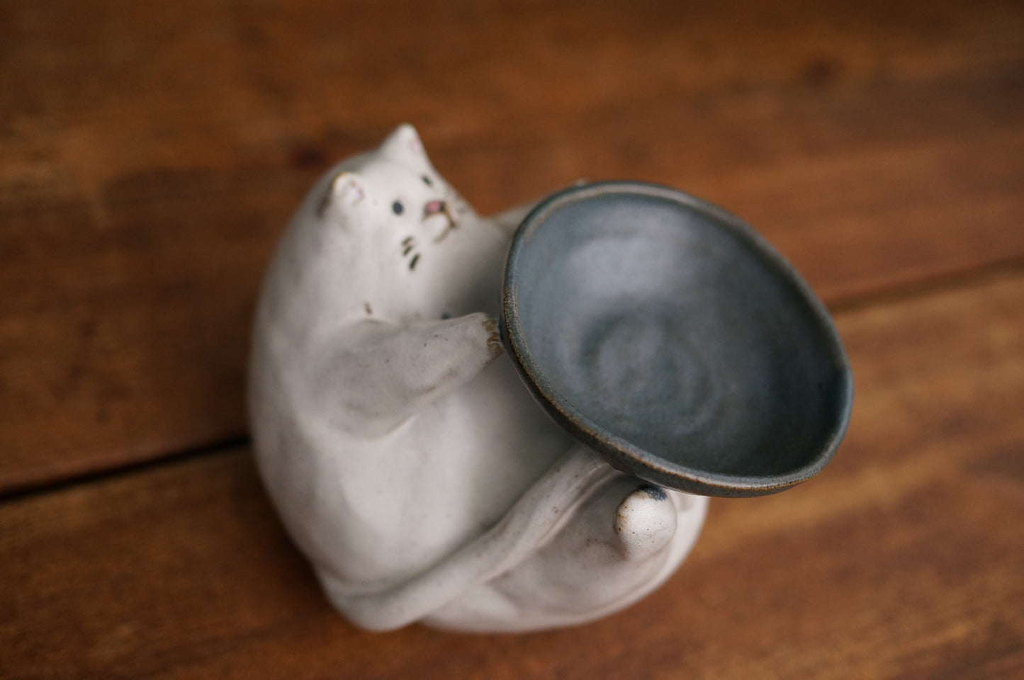 Cat Holder