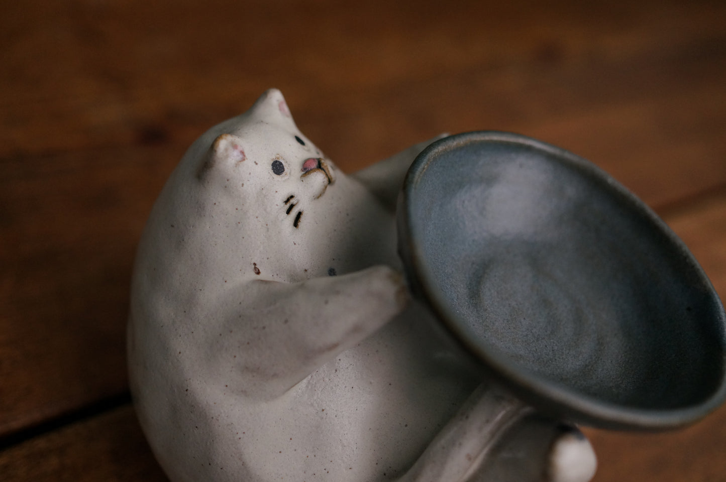 Cat Holder