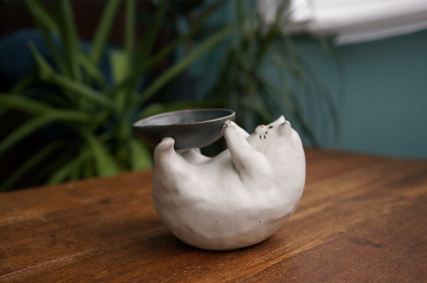 Cat Holder