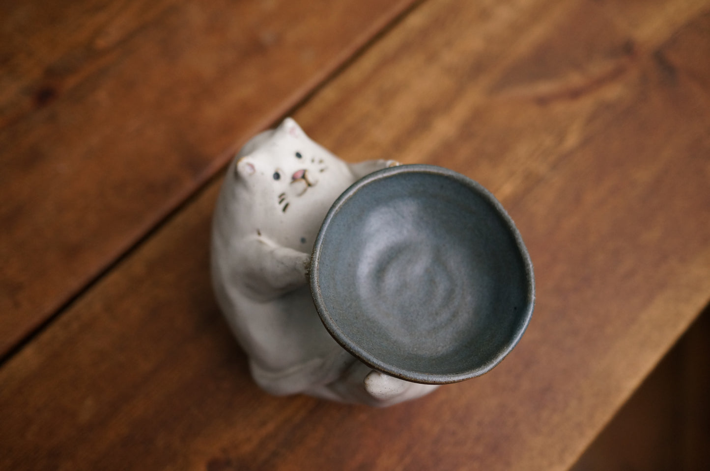 Cat Holder