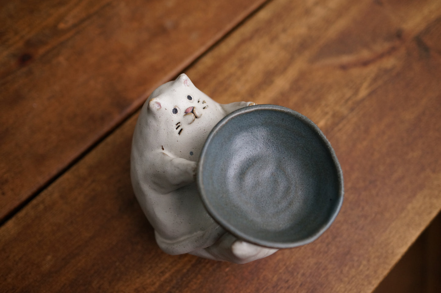 Cat Holder