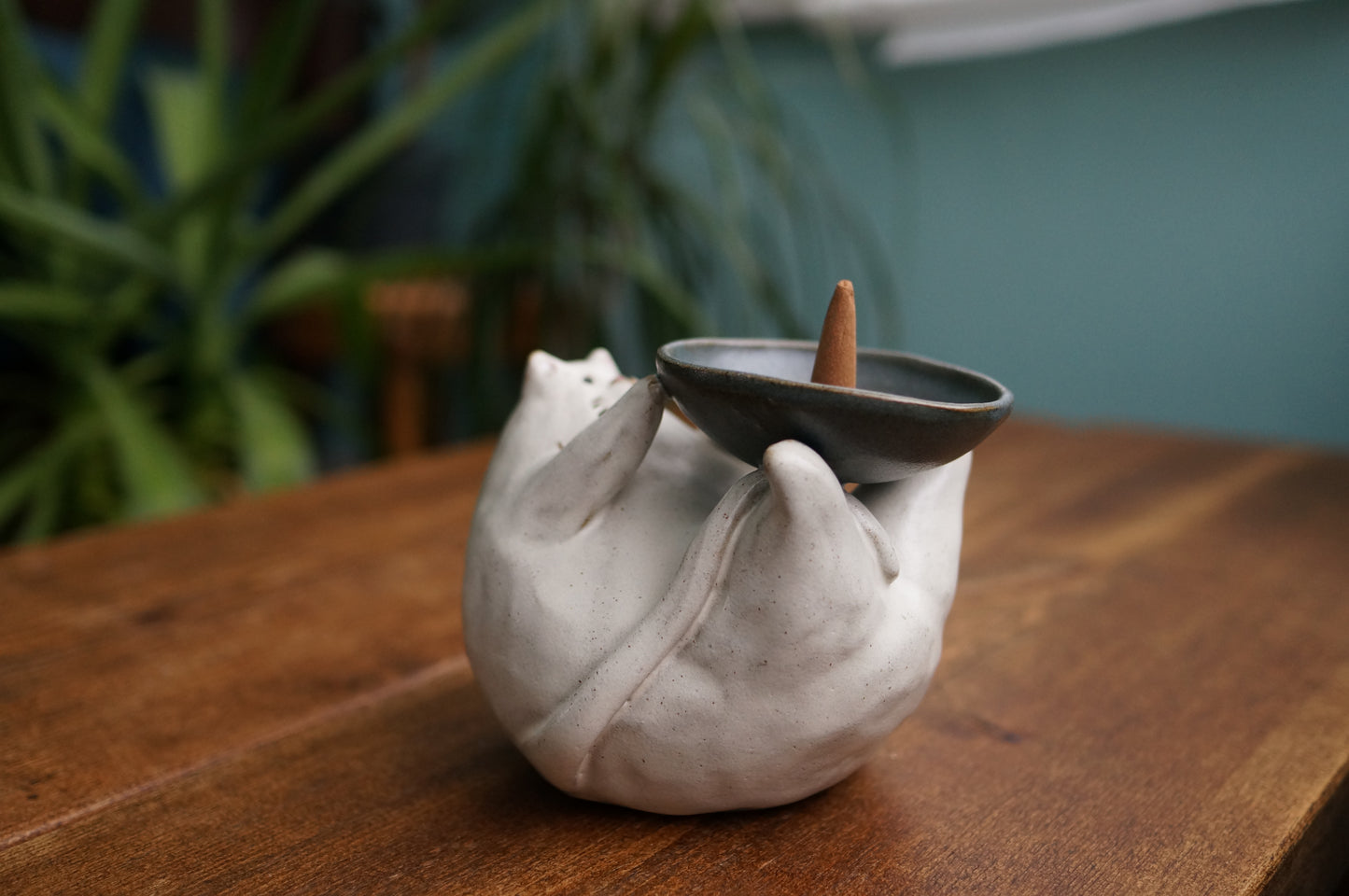 Cat Holder