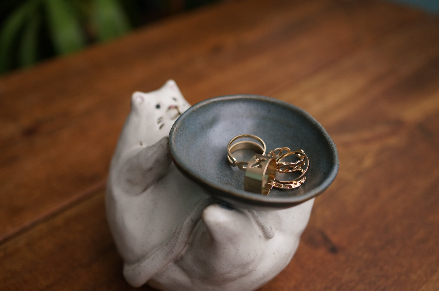 Cat Holder