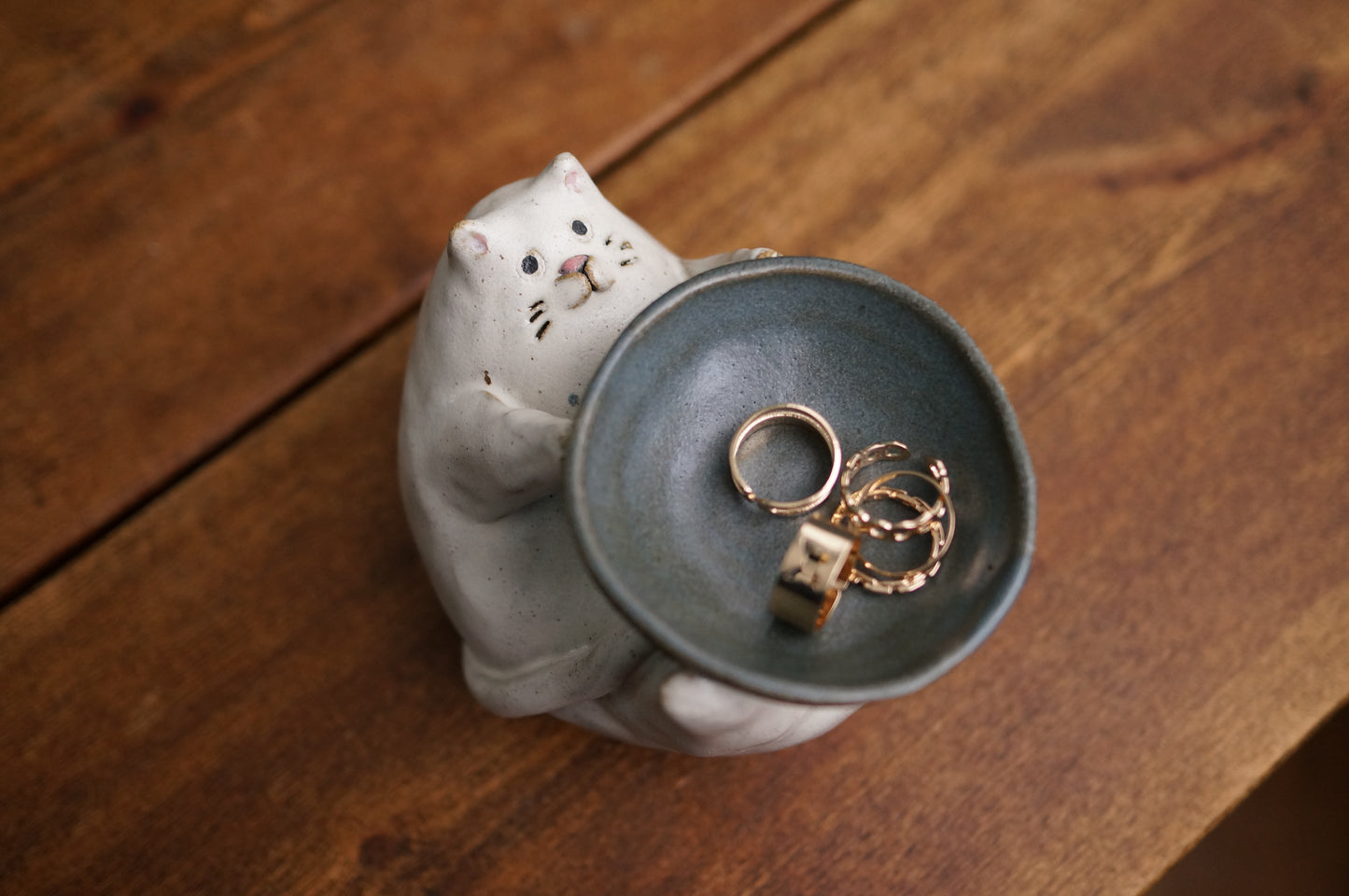 Cat Holder
