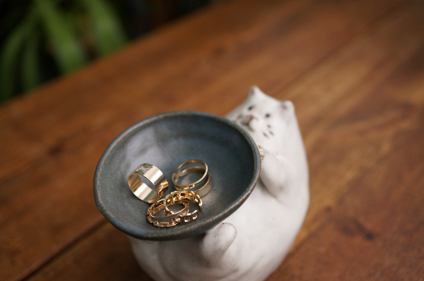 Cat Holder