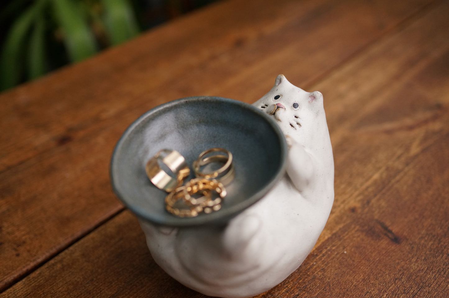Cat Holder