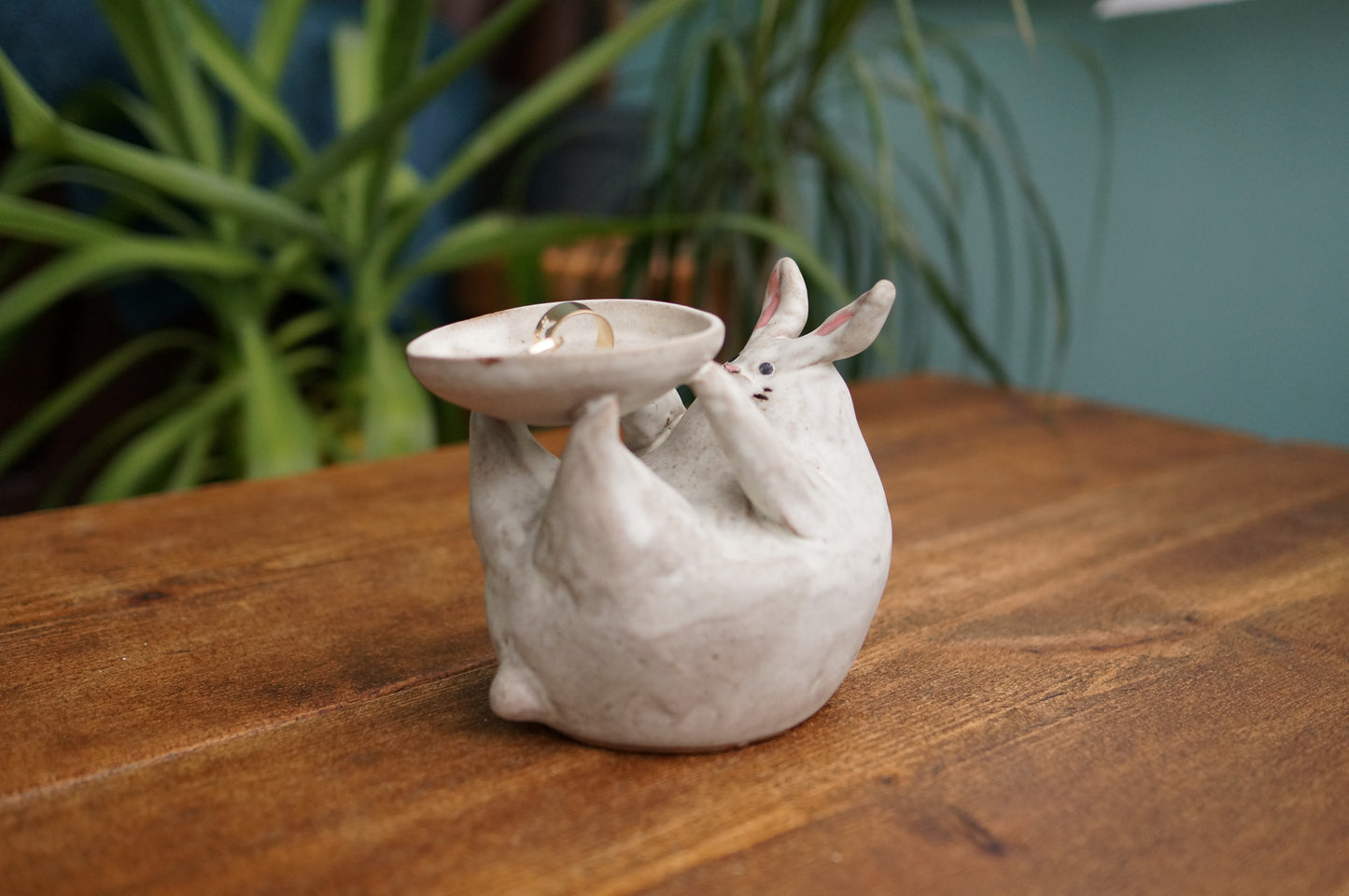 Rabbit Holder