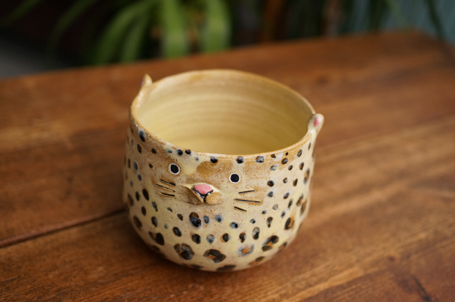 Leopard Bowl