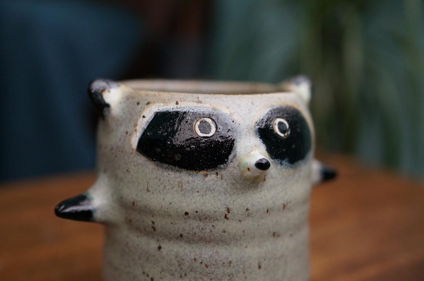 Raccoon Cup