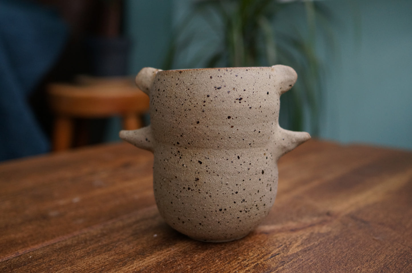 Bear Cup