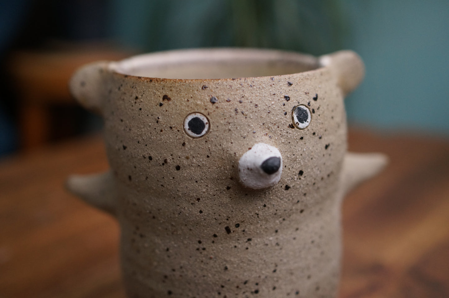Bear Cup