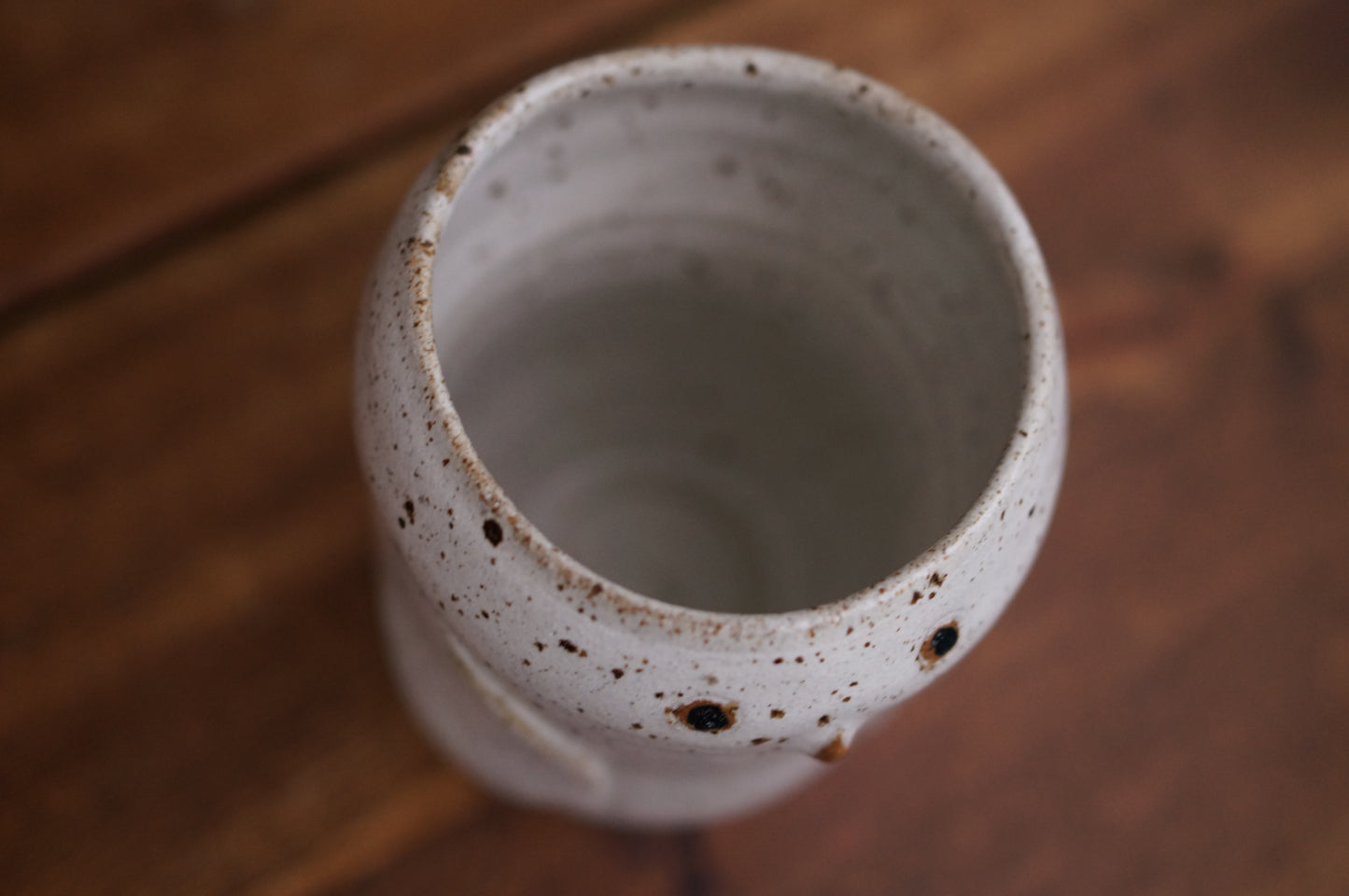 Snowy Owl Cup