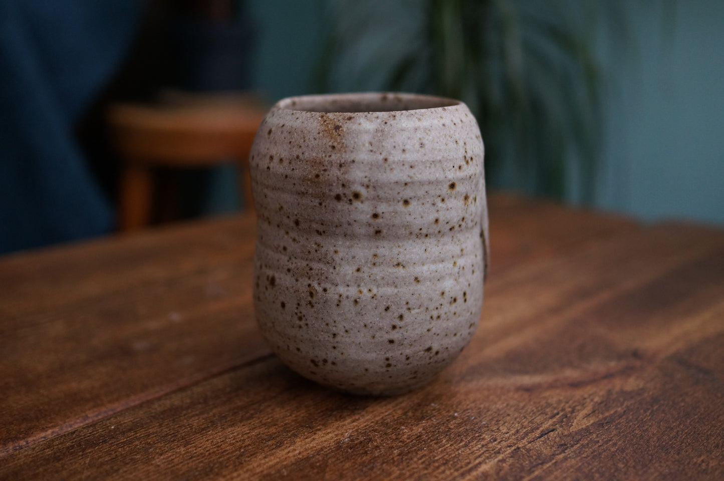Snowy Owl Cup